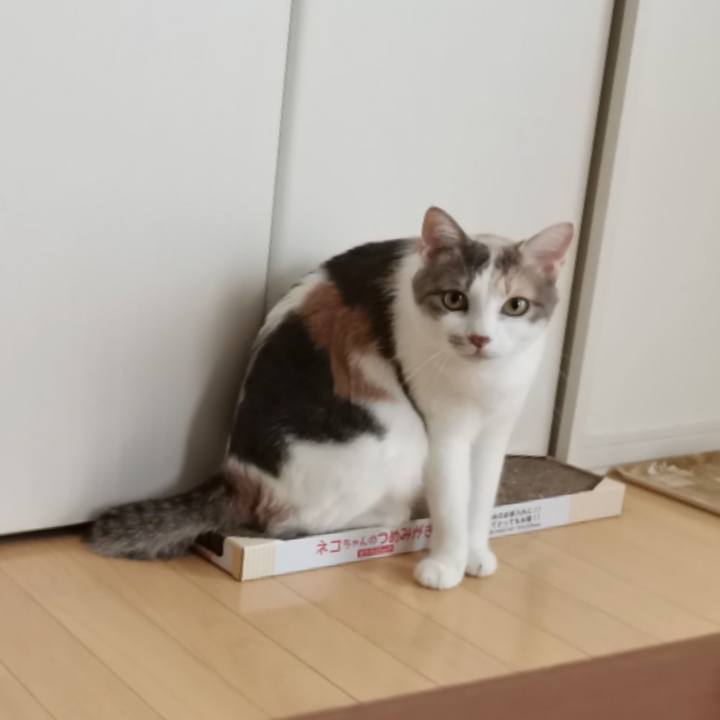 997014e1 8585 4201 8796 057c9b47077b 1625840338143