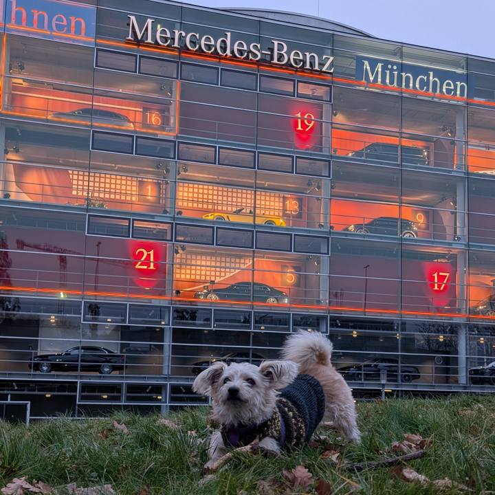 99704460 b7b4 4fff 8fd4 41d64332943e 1765964415173