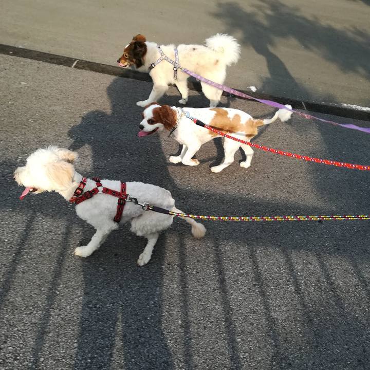 997068b5 b13c 4287 be0a 68fde129d37f 1523774738731