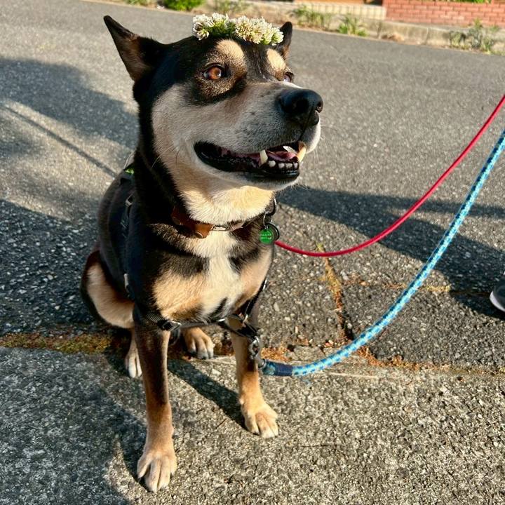 997082ef 1571 4e52 ac48 c70eb5905317 1746083665643