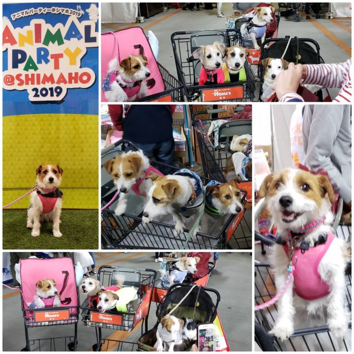 9970a703 df1d 45e7 adc4 a39b017fe533 1560059525573