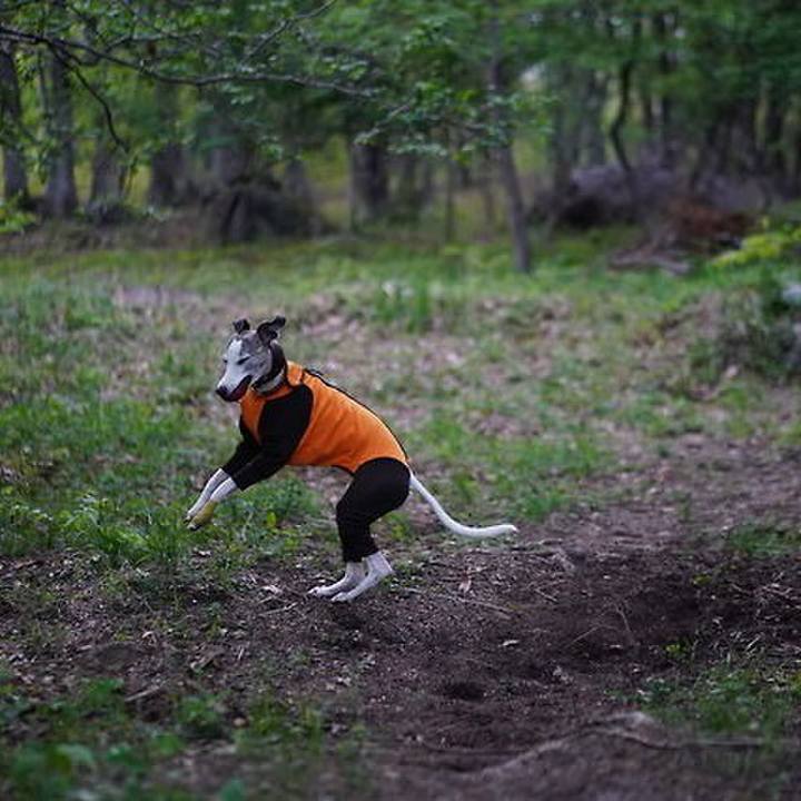 9970ce39 feda 403a 89a7 48f383b9813c 1528628749840