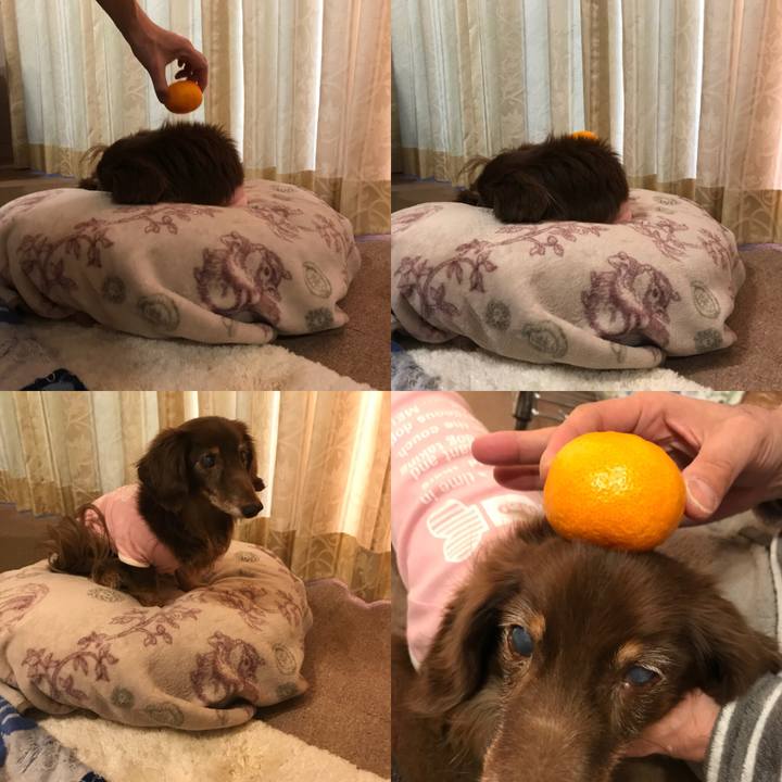 9970e233 b760 4452 8995 9ee2d27d582a 1515276271640