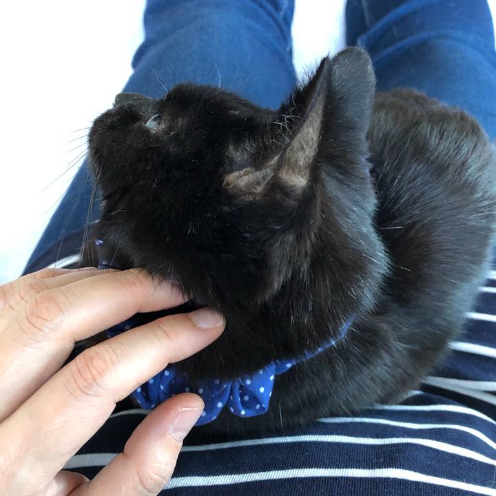 9970f737 2ac3 43fb ad8d 28832273bd30 1561124071048