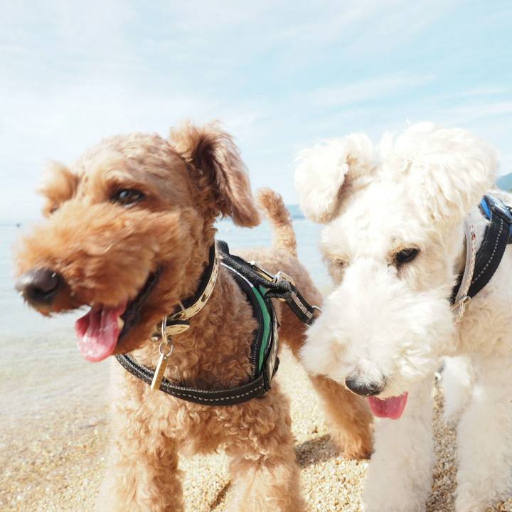 99711165 2e55 4ff7 9420 9d2e943c1184 1534998810047