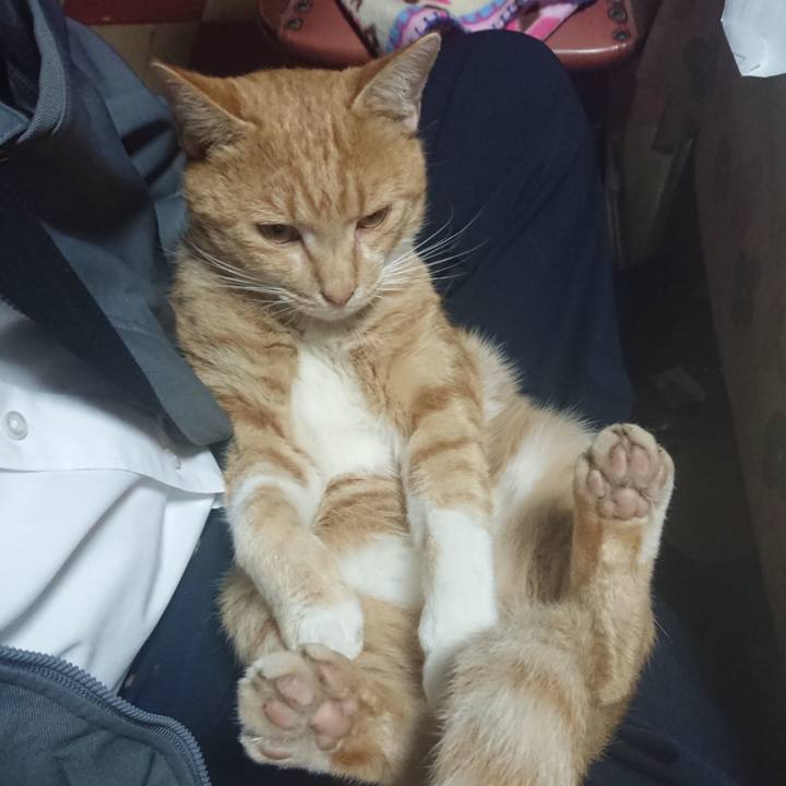 99713fa1 f150 4a0a a833 40ebe04bf872 1572311244681