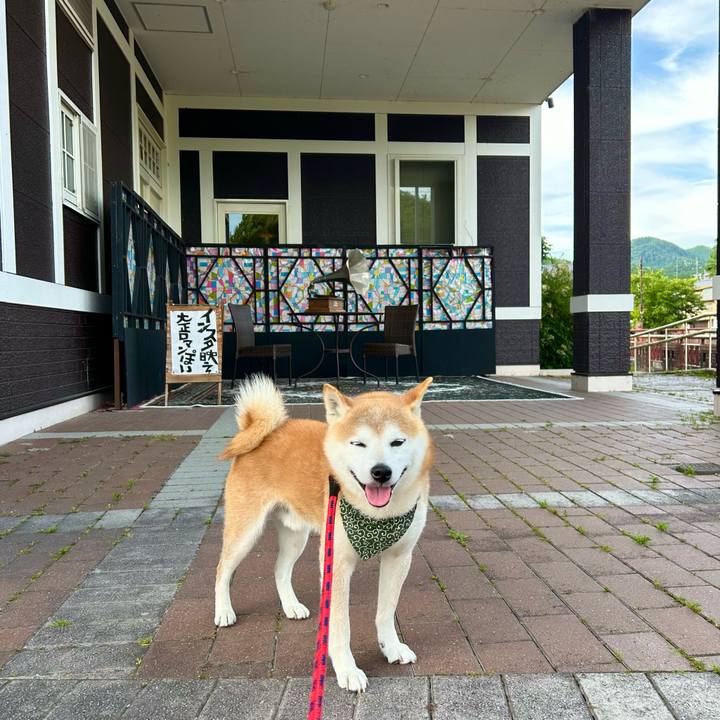 997161ce 20c6 4c3d a878 5ecf1b1cfd6d 1719397819545