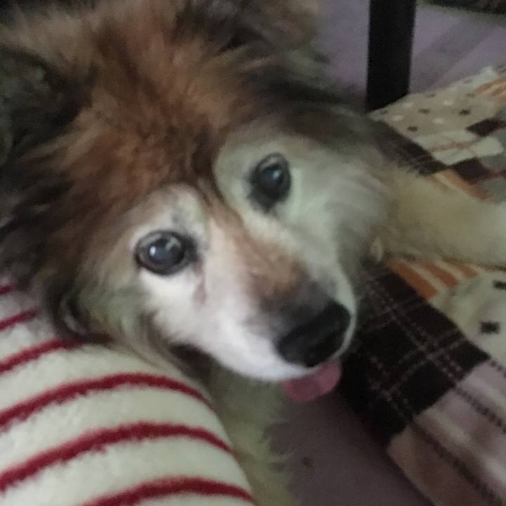 9971e0a0 f059 437b 87c8 c05f911425e0 1605013422690