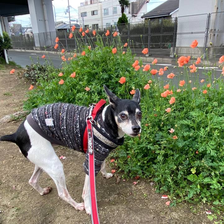 9971ed71 fcd5 46d3 81cb d28da966dc28 1586055457858