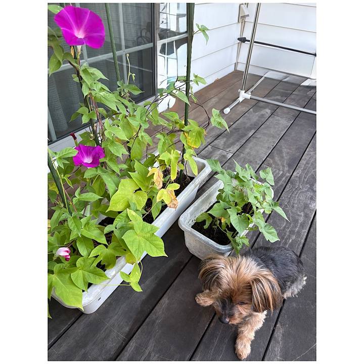 99720cfa 4bcf 4d69 bc74 9b5a7e0056ea 1753829150263