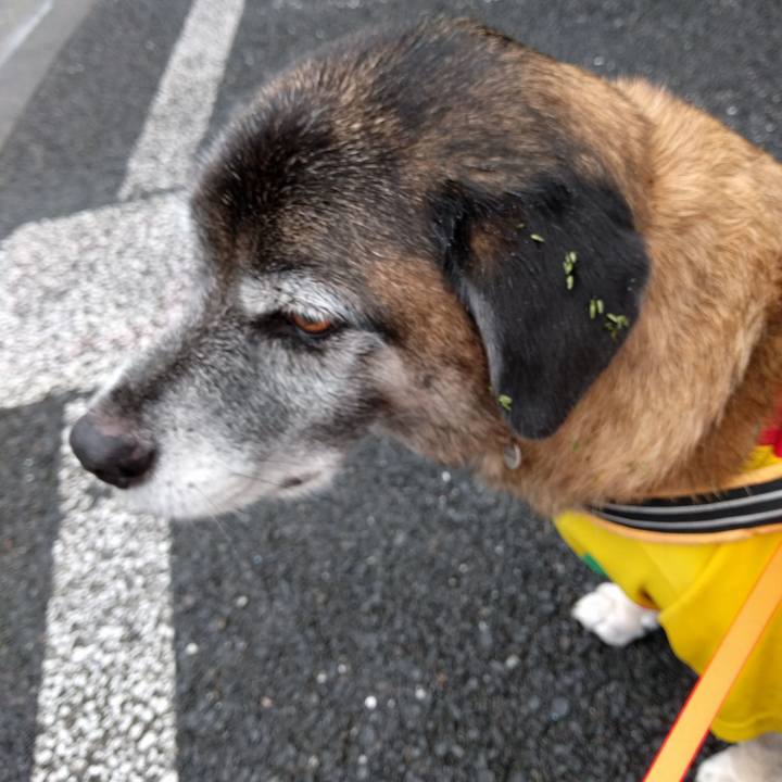 99721c48 1e1f 406c ace7 136a4c946912 1507950076148