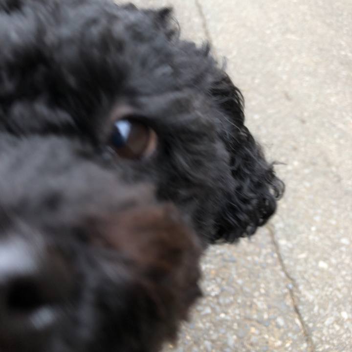 99721dfd 80bd 4081 acdd 53f9bf0336c9 1550211876452