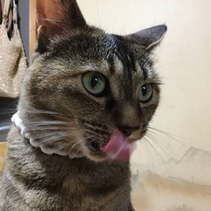 99722856 4e8b 4080 87e6 f539455997b8 1688736183752