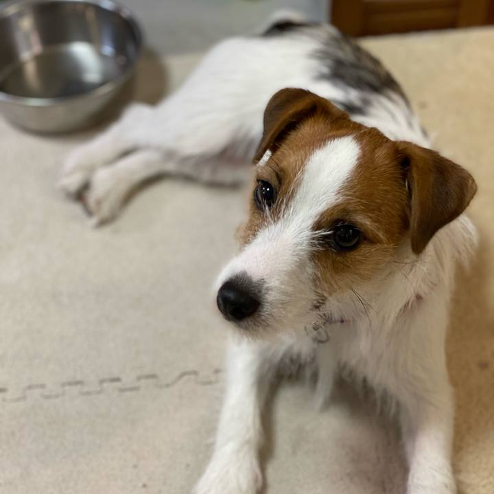 99723150 efa1 4f35 8eb9 ceac154cd400 1631052926986