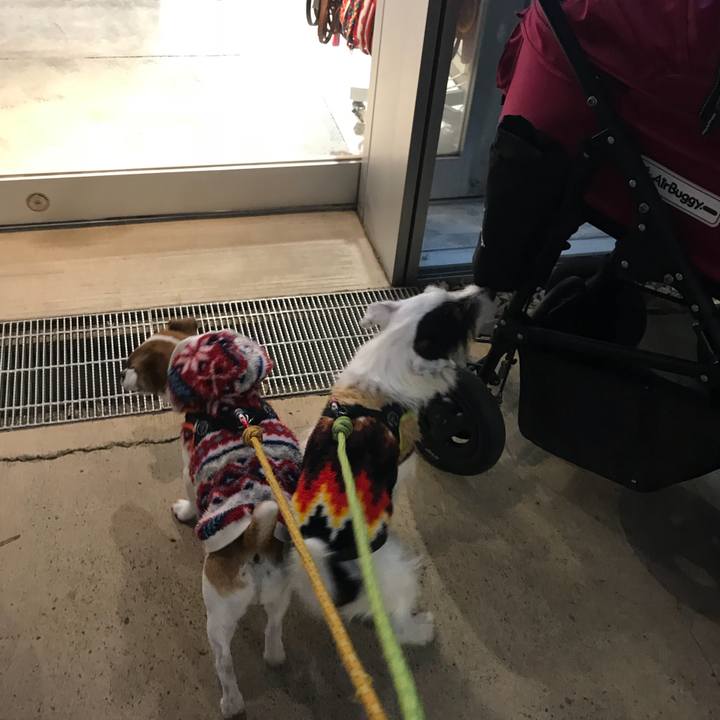 99725d95 905c 480d a011 932c89a1ba2a 1516533245207