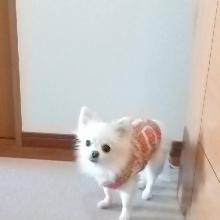 997266f6 5288 421e 8032 df58176f7209 1638582659134