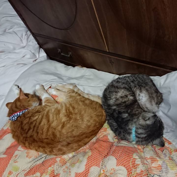 997286ca 92ff 4ff6 b1a9 5918b94498e4 1568812636045