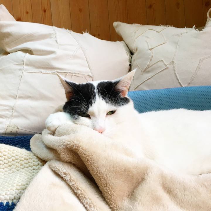 99729a1a d3f4 4ff4 ae3c 27a2aa01af67 1520503536478