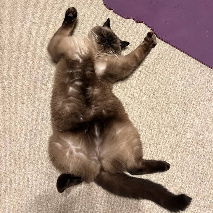 9972c7b1 f123 4291 9ae2 6513f8113fa0 1698022162447