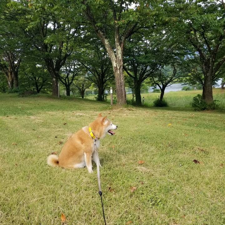 9972d7ce 3cfe 411c a467 0362c19a9ab8 1690788696145