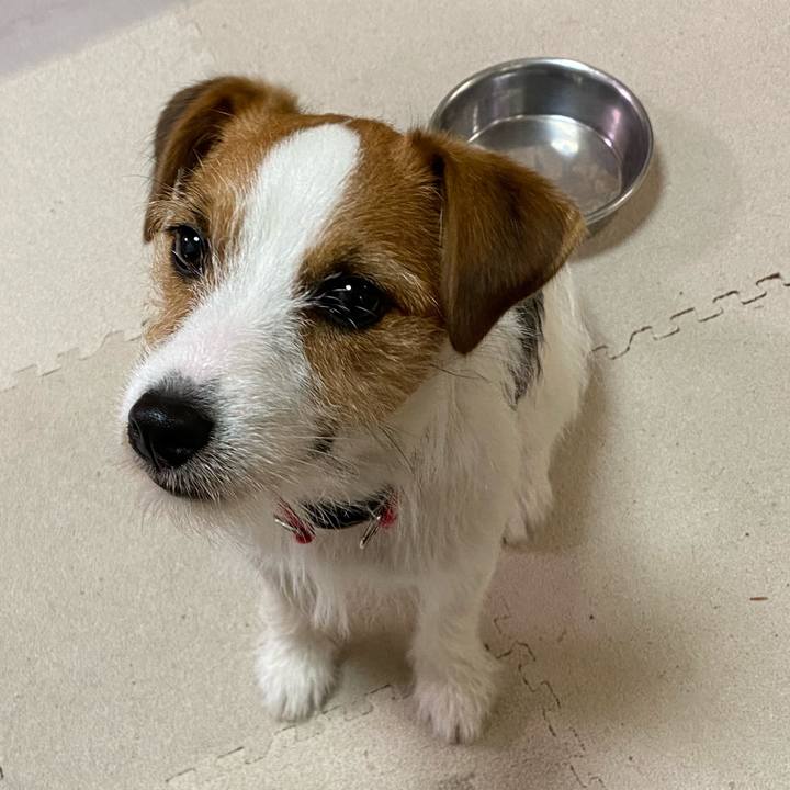 99730be6 416c 4548 a311 8fa974ce6e40 1628084048333