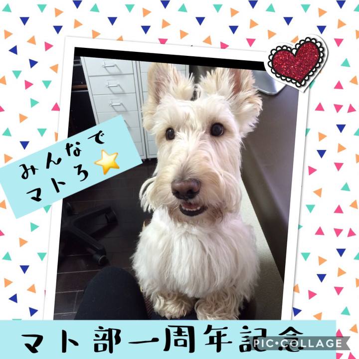 99730ce8 88e9 45f8 a74b 6b2a9dd89b2b 1540421033376