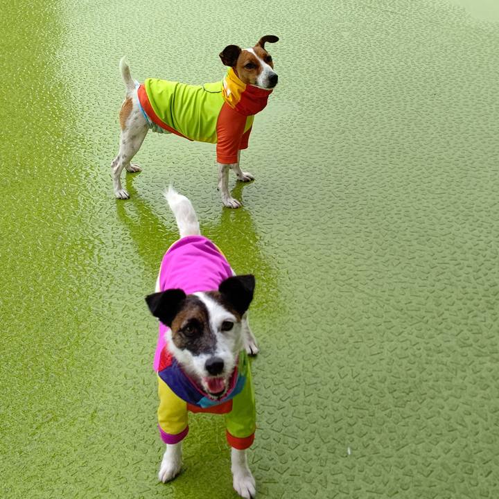 997313ed 1d0c 49bd 92be 64800b6286e1 1620871763416