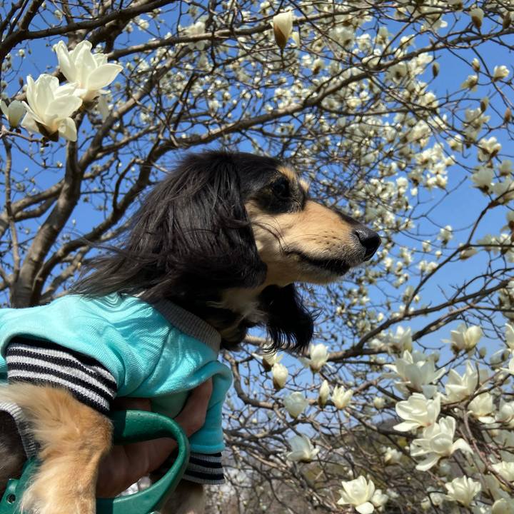 997322b7 845d 42e0 9ae2 89cbe6dce064 1742778430284