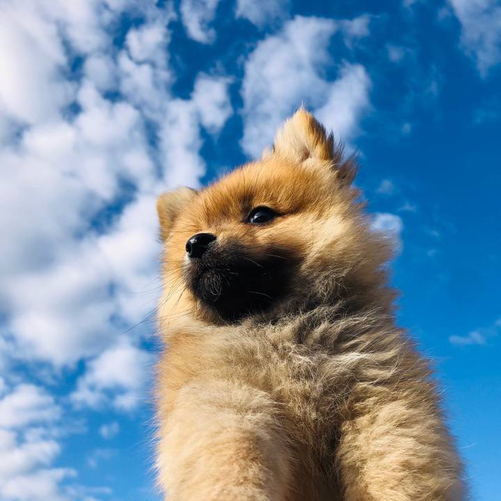 9973327f 70a3 4fff 894b d64fa9d23e68 1573827082801