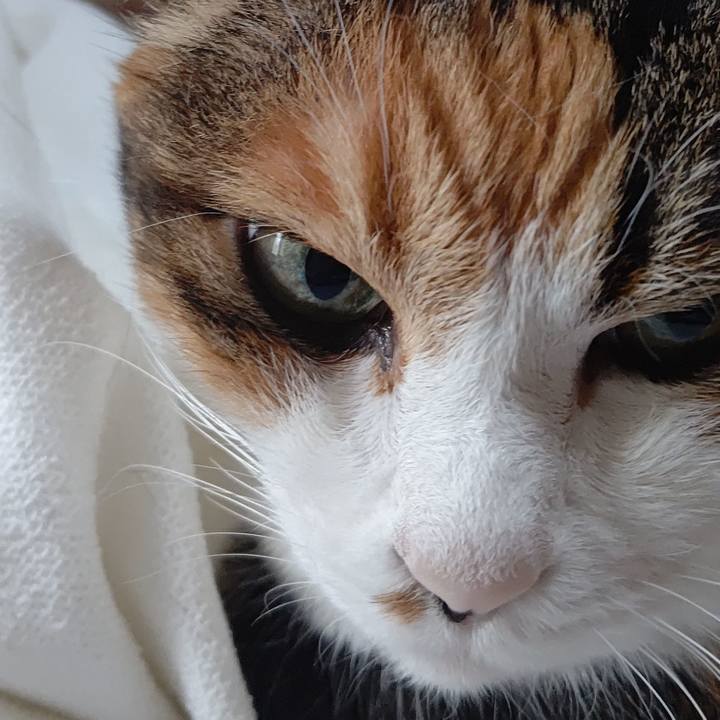 9973499a 8395 400e be1e 353f1fedc757 1596801621898