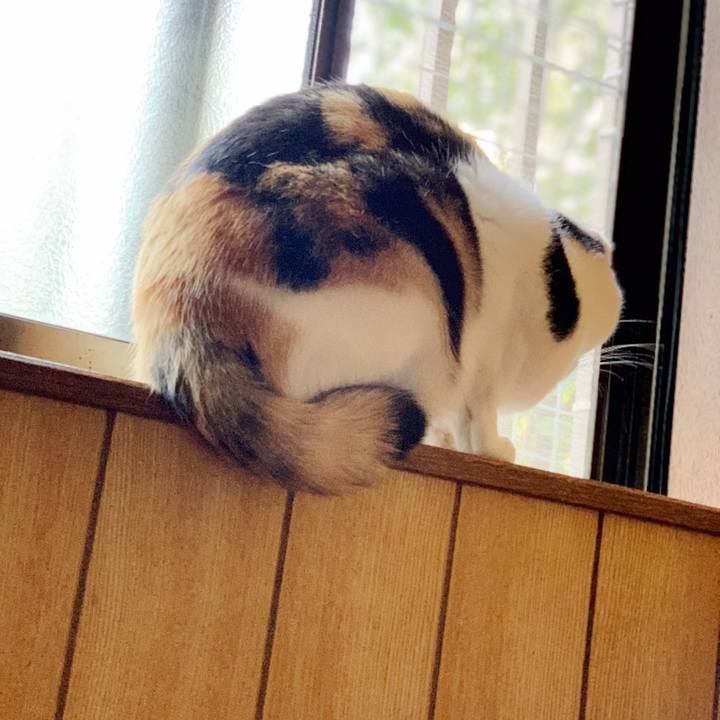 997353b5 ea38 4cb6 af73 85b8cf8eeda2 1540781772257