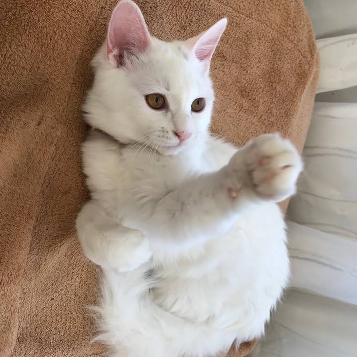 9973b661 bc3b 4ba6 b67e b5eff652b69d 1538228947086