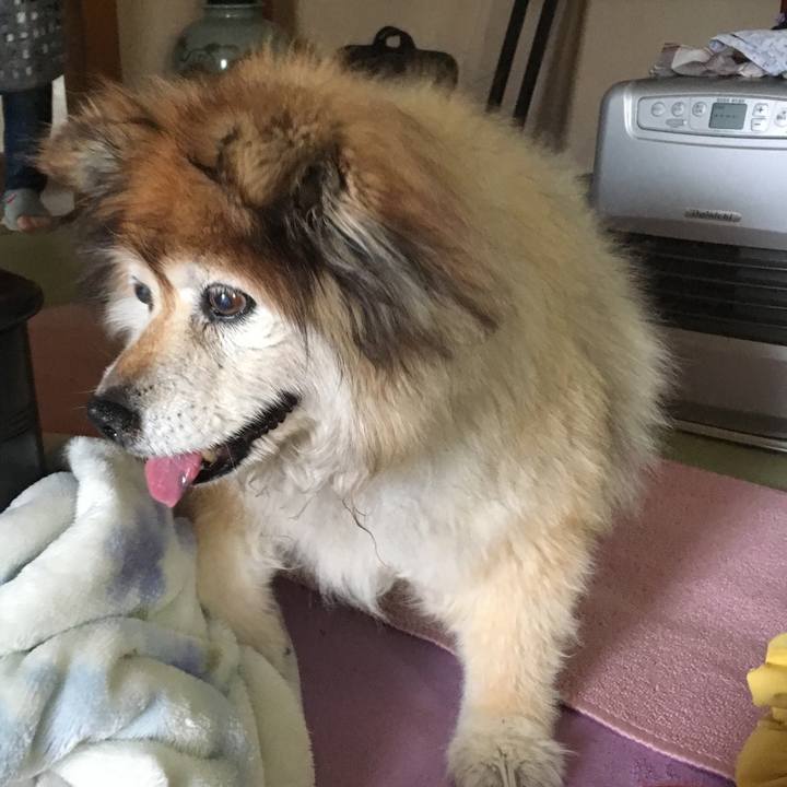 9973e0f4 6f0f 46c2 a23a 5cbaf4764e26 1576308286678