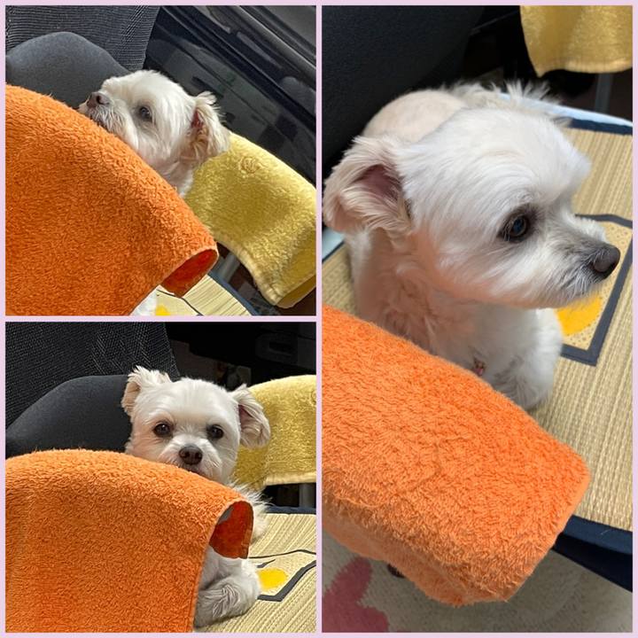 997418f0 5465 4d40 832c 105f3954330f 1633609765206