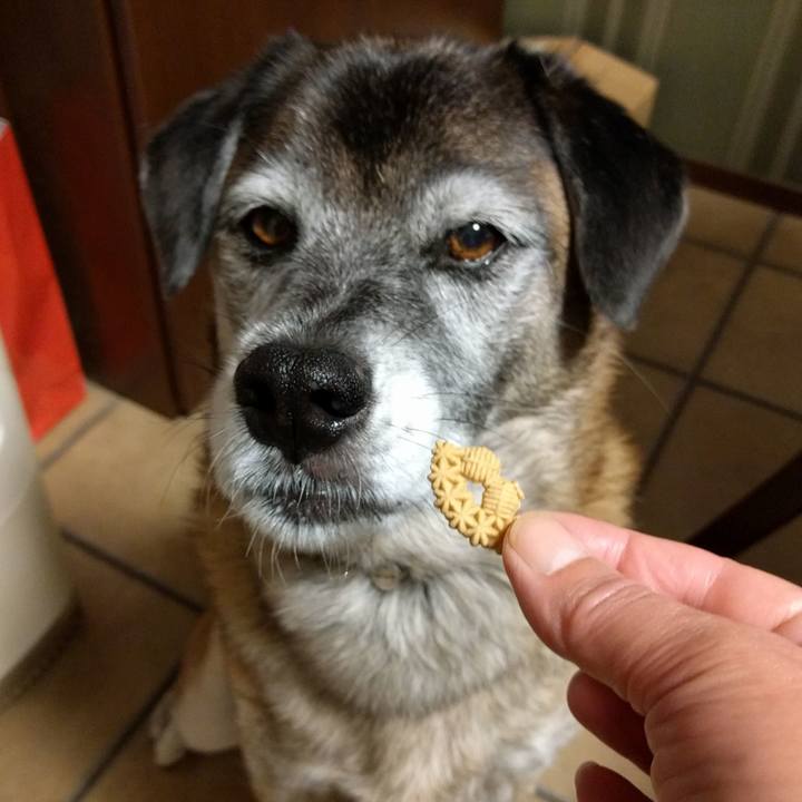 99741ace 6785 4b5a b287 b8d2161a46d8 1541627475631