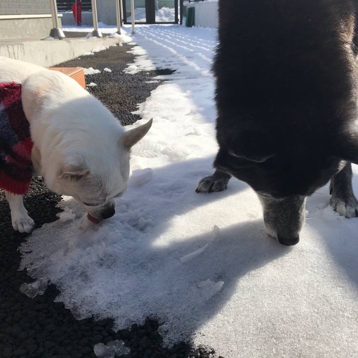 9974ce80 00df 47cf 8c92 635eb4964044 1646708374548