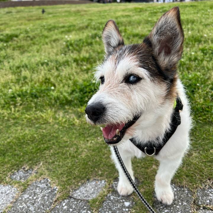 9974ddc4 cc64 409f 8b08 99160ea95ab0 1763390189849