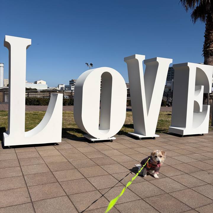 99751e38 a8e5 4b48 95be 54b949176108 1773552407043