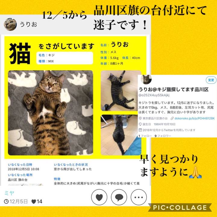 997533bd 810d 4697 8285 5266783e15ed 1544266241098