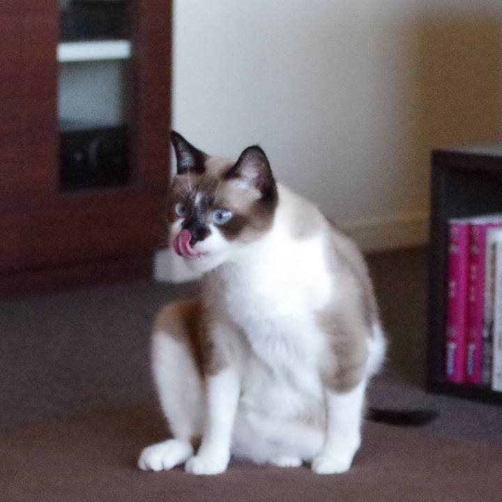 997580fb 4634 419b aec3 eb44b7458d94 1528854398294