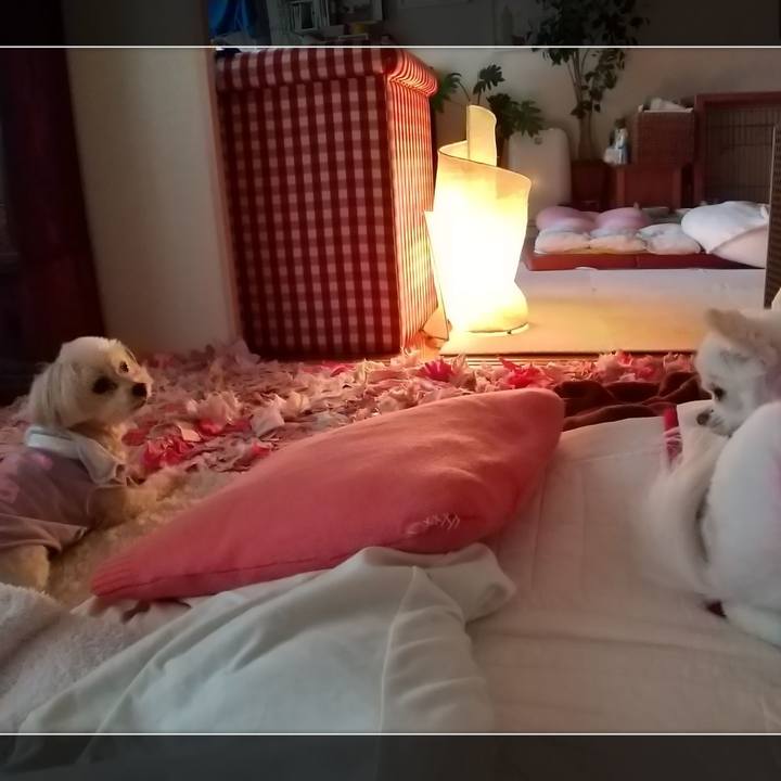 9975aa9f 6727 4ee7 b02b d08eae92b056 1605090734010