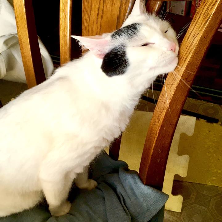 9975c5dd 1c22 4feb 931b 3722c01be007 1557093164577