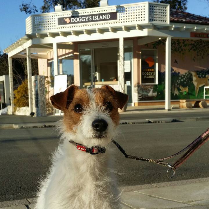 9975e09b 0cc7 4ed1 ad5a 8a3986172d0d 1517038050192