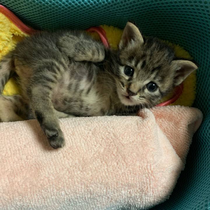 997604c4 1fdc 4948 8f60 a7e323a19663 1563324894212