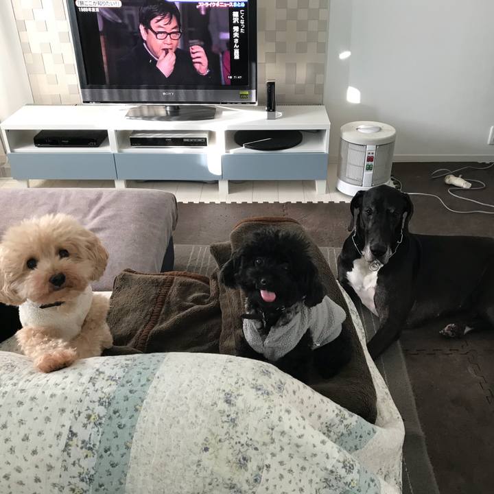 997645ff 28f3 44b2 8cfb 53196809ab7a 1509058181296