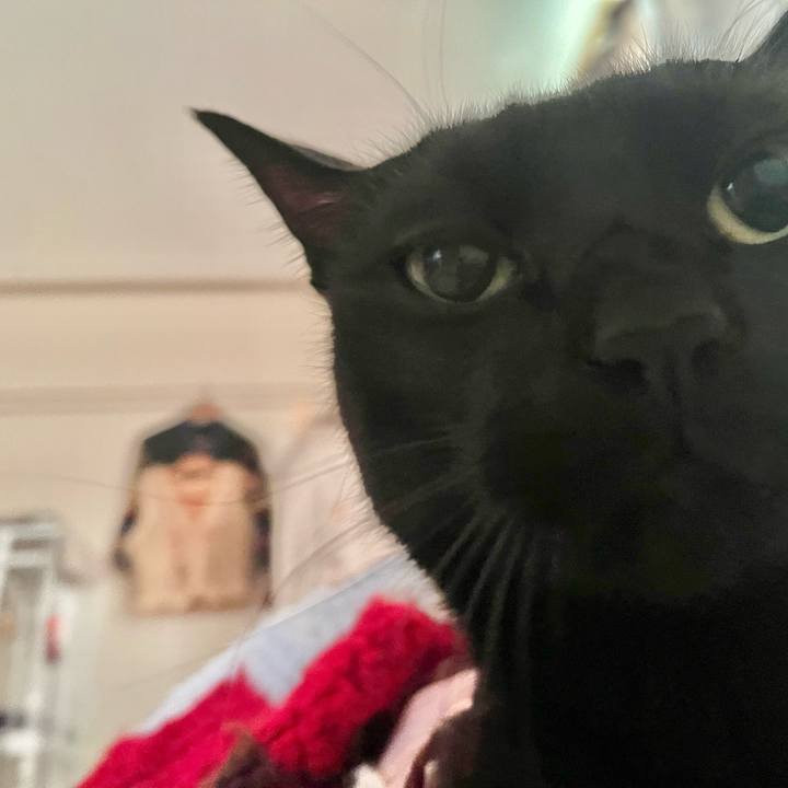 99765945 a42c 4a3f 97a2 aa0b00d259d0 1736381482164