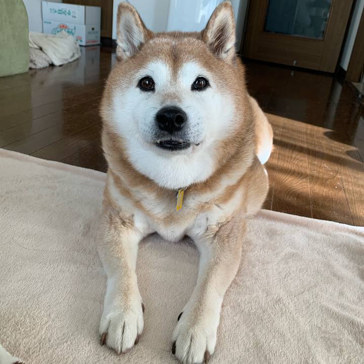 99765dd6 601d 4db5 bfda 249b1b8349aa 1577765699440