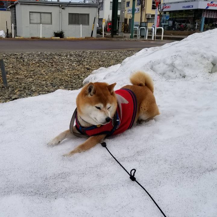 997718fa 09af 4a3f aa38 156883f3b3d2 1552966605137