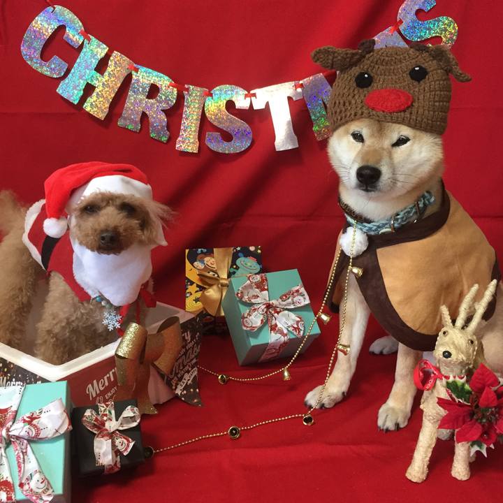 99774c56 2bbd 4086 8379 9740324e2f7a 1514107282282