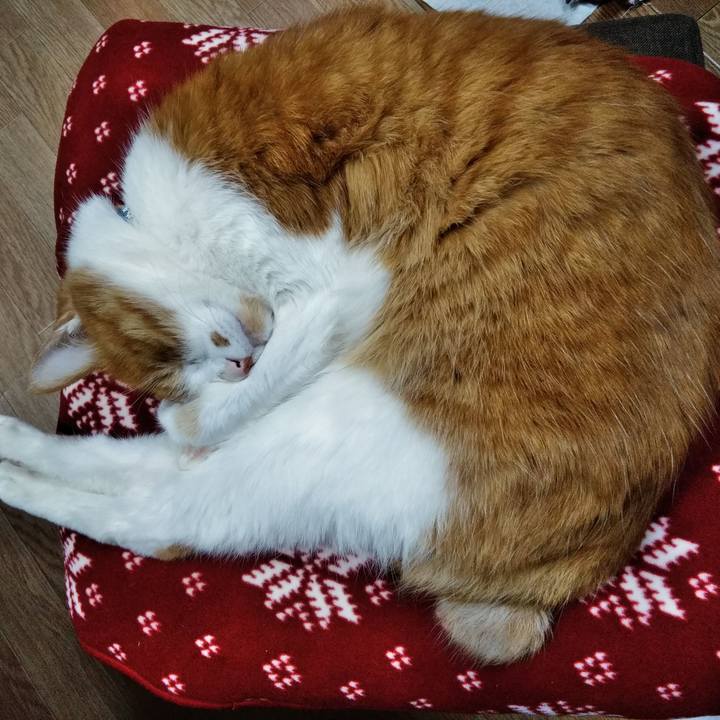 99776314 1f4e 4701 b604 46d961066d33 1576937941791